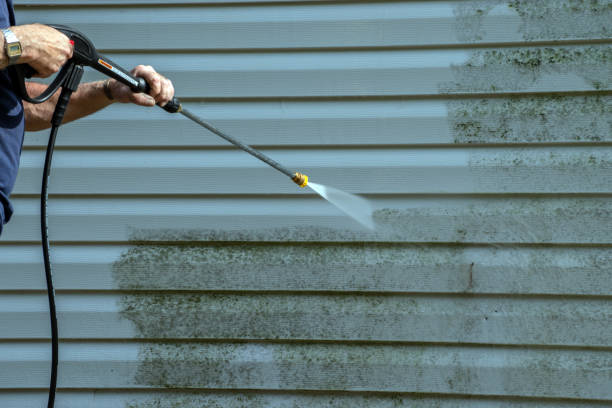 Best Roof Pressure Washing  in Palm Beach Shores, FL